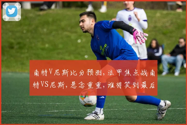 南特V尼斯比分预测,法甲焦点战南特VS尼斯,悬念重重,谁将笑到最后